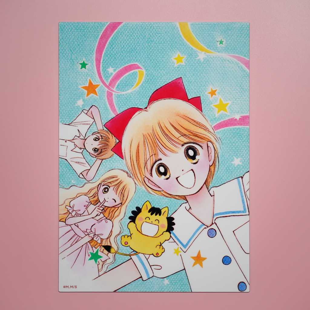 のん★☆様【フォロリピ様】【お取り置き17日迄】【おまけ増量】 姫ちゃんのリボン りぼん70thメモリアルメタルプレート A4＜受付